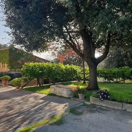 La Casa Dei Nonni Tra Crete Senesi E Val D'Orcia Villa San Giovanni d'Asso Exterior photo