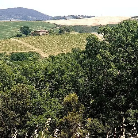 La Casa Dei Nonni Tra Crete Senesi E Val D'Orcia Villa San Giovanni d'Asso Exterior photo