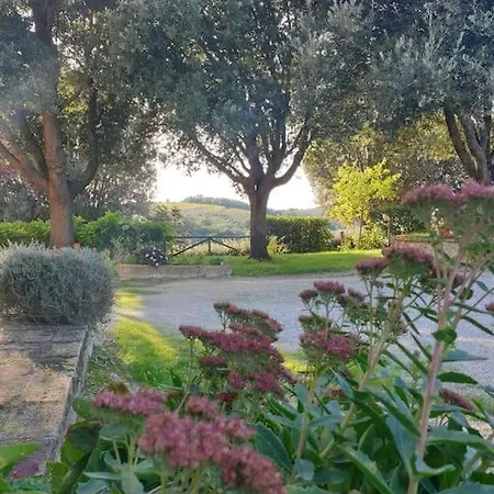 La Casa Dei Nonni Tra Crete Senesi E Val D'Orcia Villa San Giovanni d'Asso Exterior photo