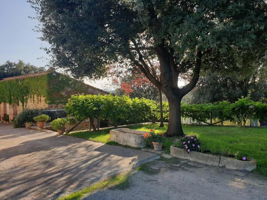 La Casa Dei Nonni Tra Crete Senesi E Val D'orcia Holiday home