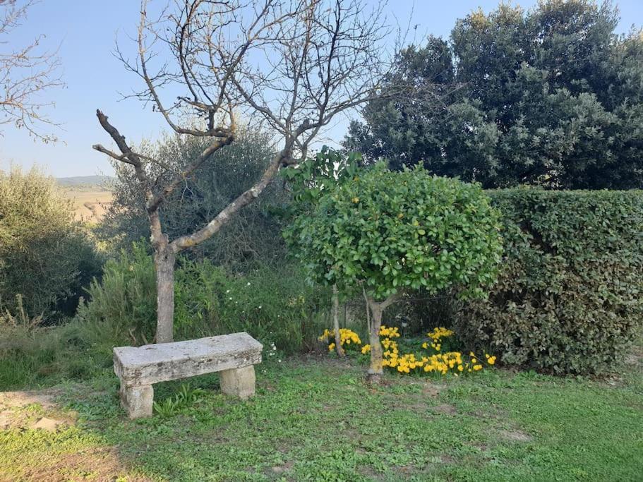 La Casa Dei Nonni Tra Crete Senesi E Val D'orcia Holiday home