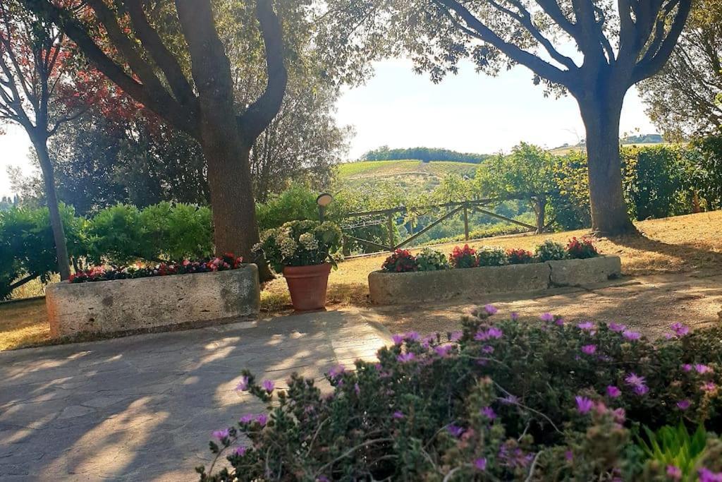 La Casa Dei Nonni Tra Crete Senesi E Val D'orcia