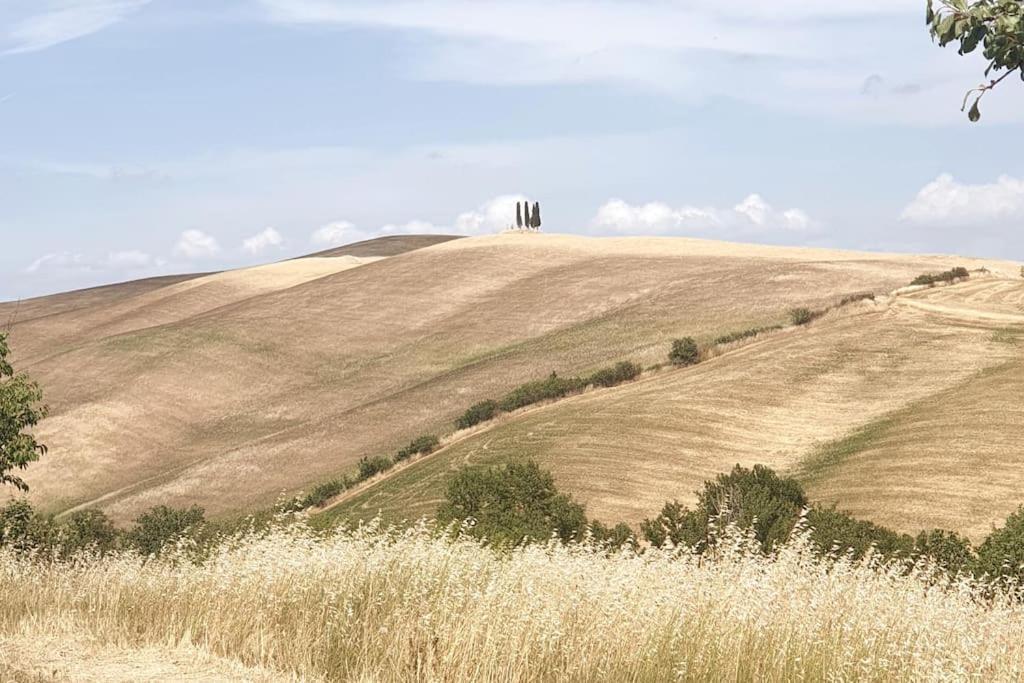 Holiday home La Casa Dei Nonni Tra Crete Senesi E Val D'orcia *