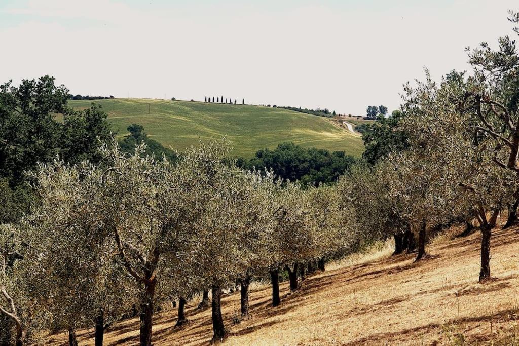 Holiday home La Casa Dei Nonni Tra Crete Senesi E Val D'orcia *