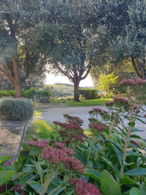 Hébergement de vacances La Casa Dei Nonni Tra Crete Senesi E Val D'orcia *