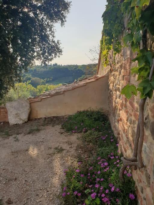 La Casa Dei Nonni Tra Crete Senesi E Val D'orcia Hébergement de vacances